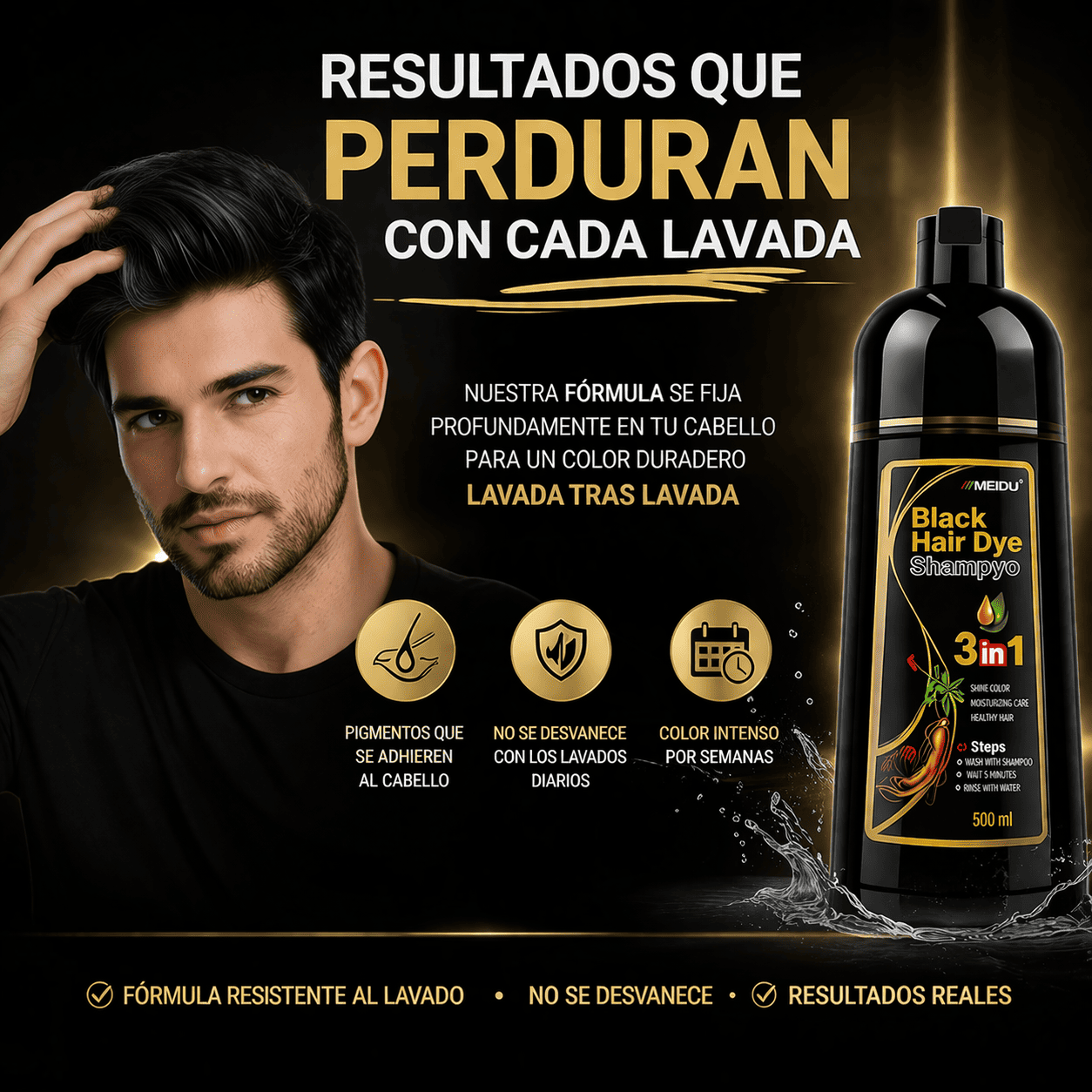 Black Hair Dye Shampoo 3 en 1